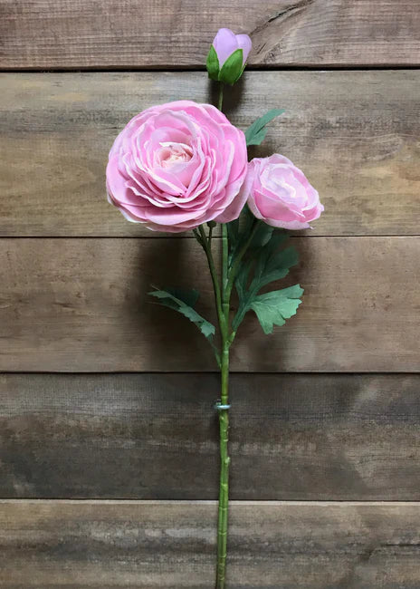 fresh Touch Ranunculus - Pink