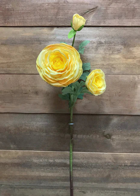 fresh Touch Ranunculus - Yellow