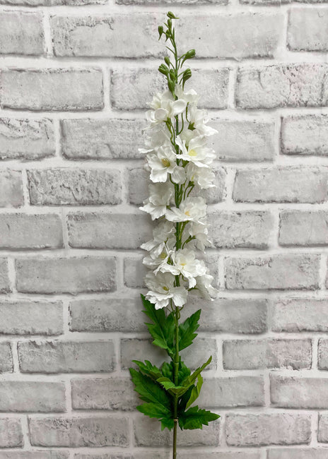 White Delphinium