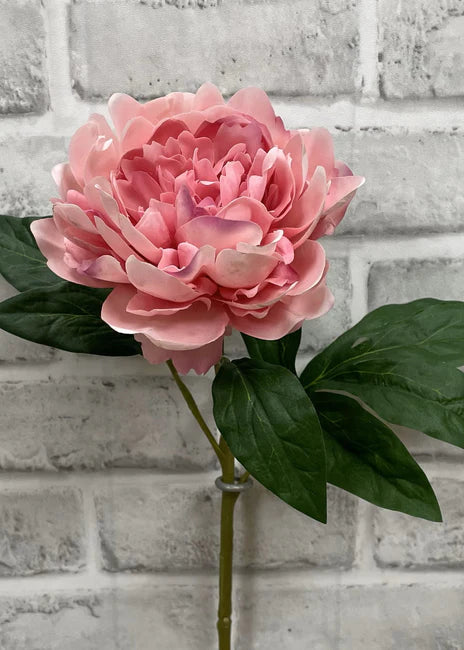 Bright Pink Fresh Touch Peony Stem