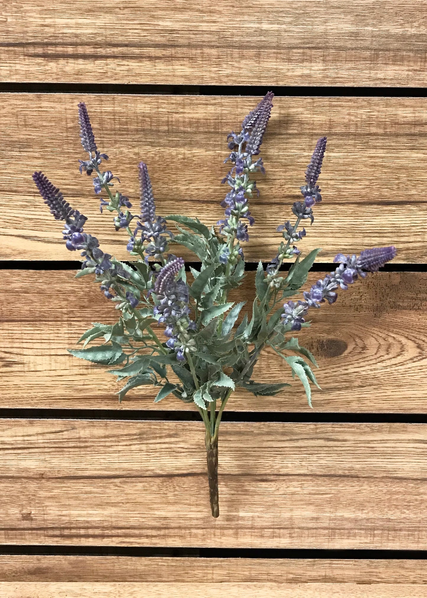18" fluffy Lavender Bush