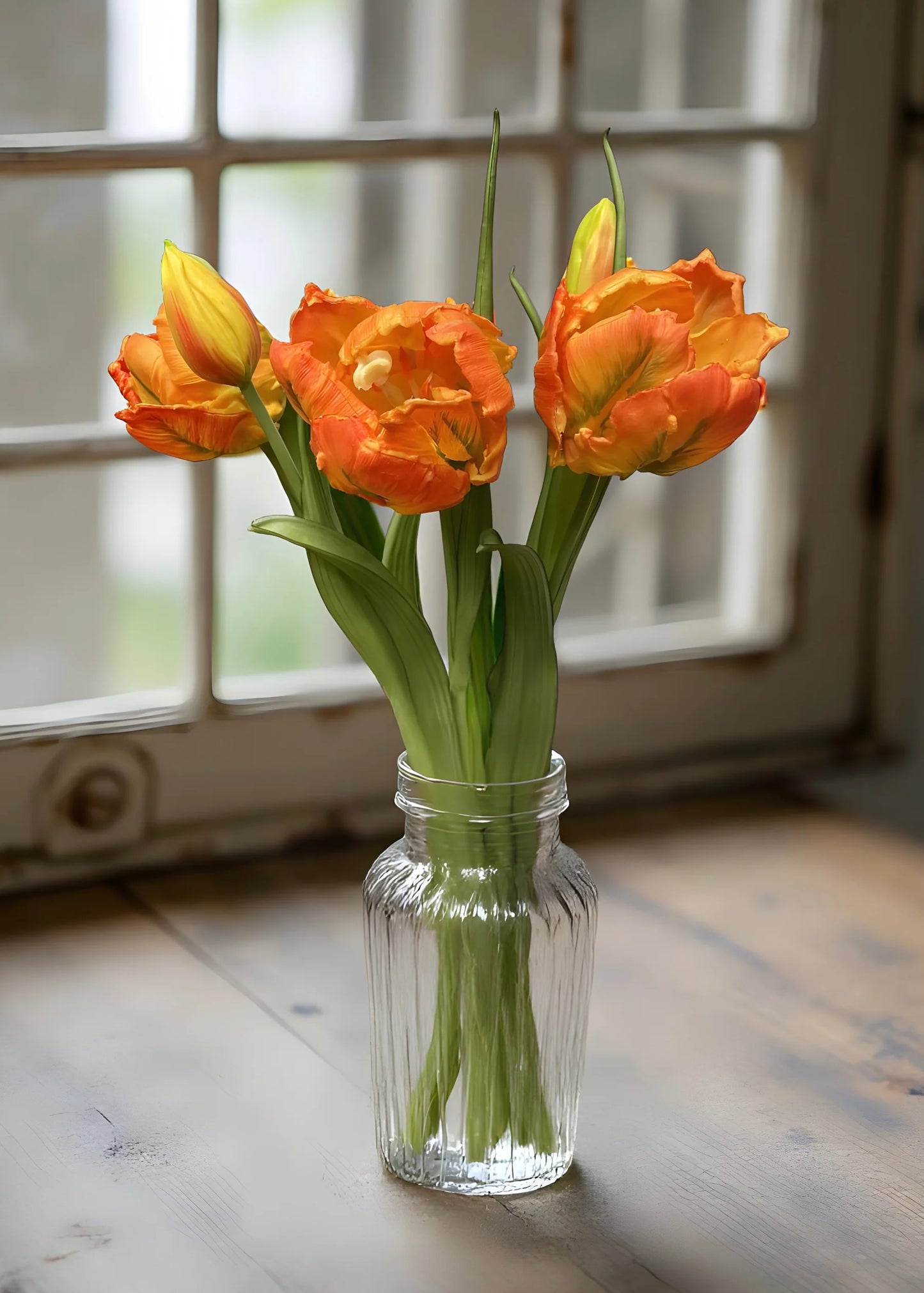 Parrot Tulip Bundle