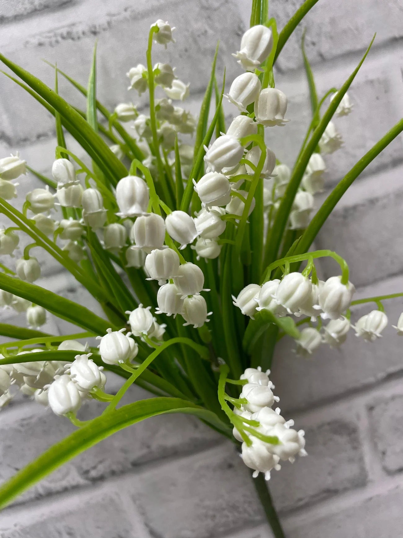 Lily of the Valley