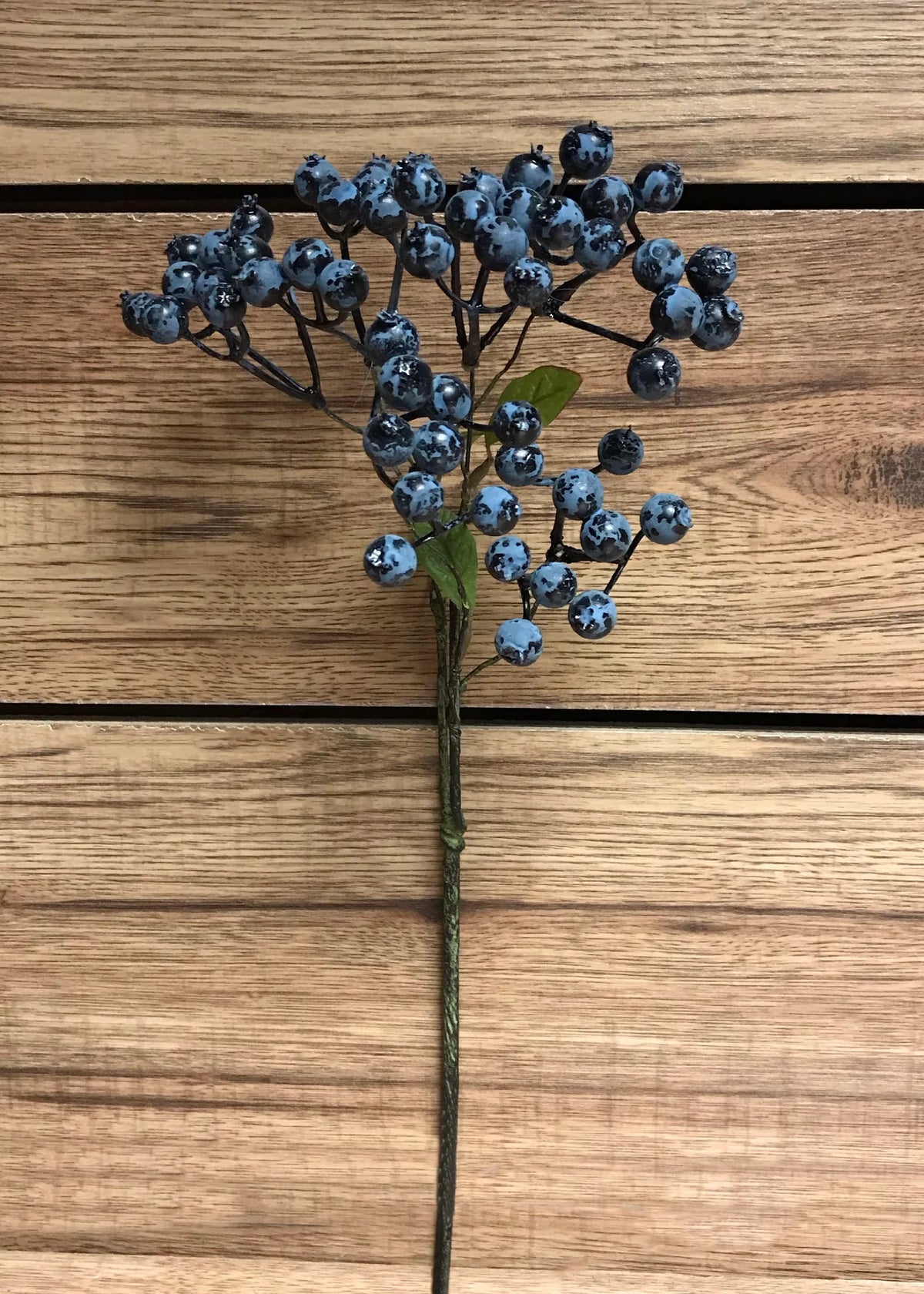 20" Blueberry sprig
