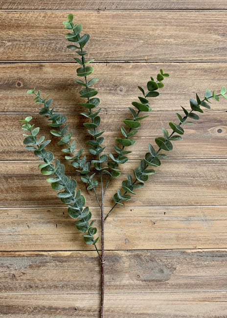 Eucalyptus Spray