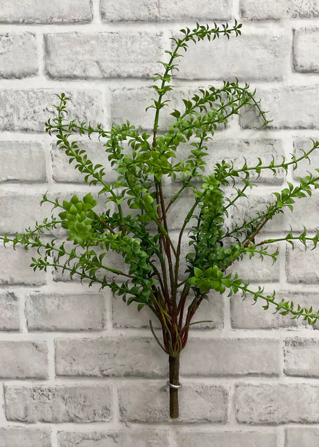 Green Stone Crop Bush