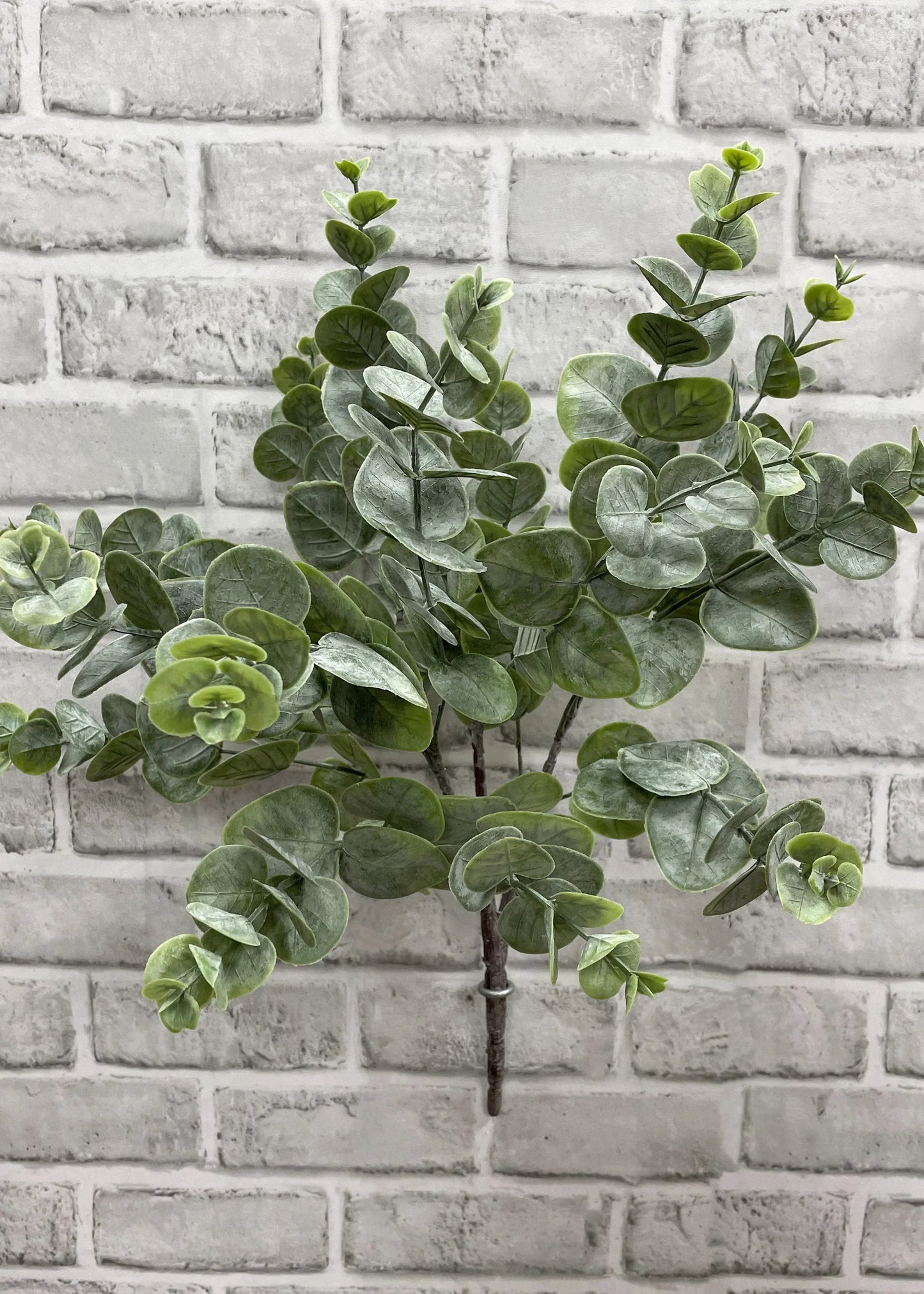 19.5" Green Eucalyptus