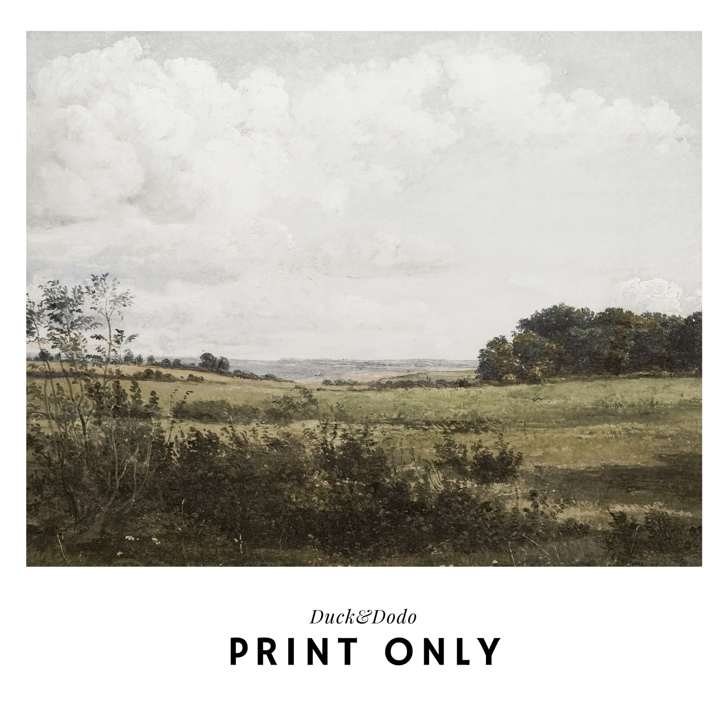 Landscape Print