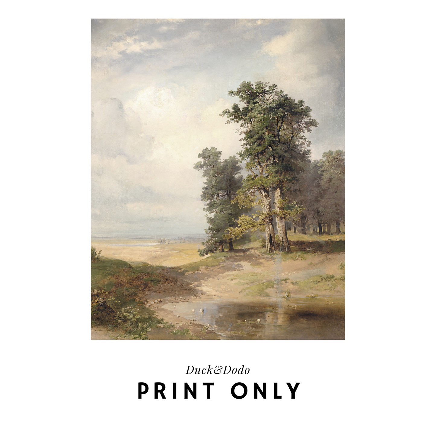 Edge of Forest Print