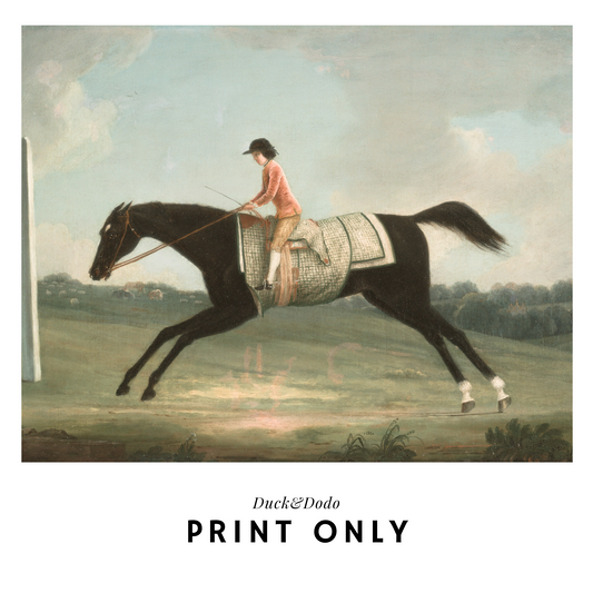 Print - Vintage Horse Print