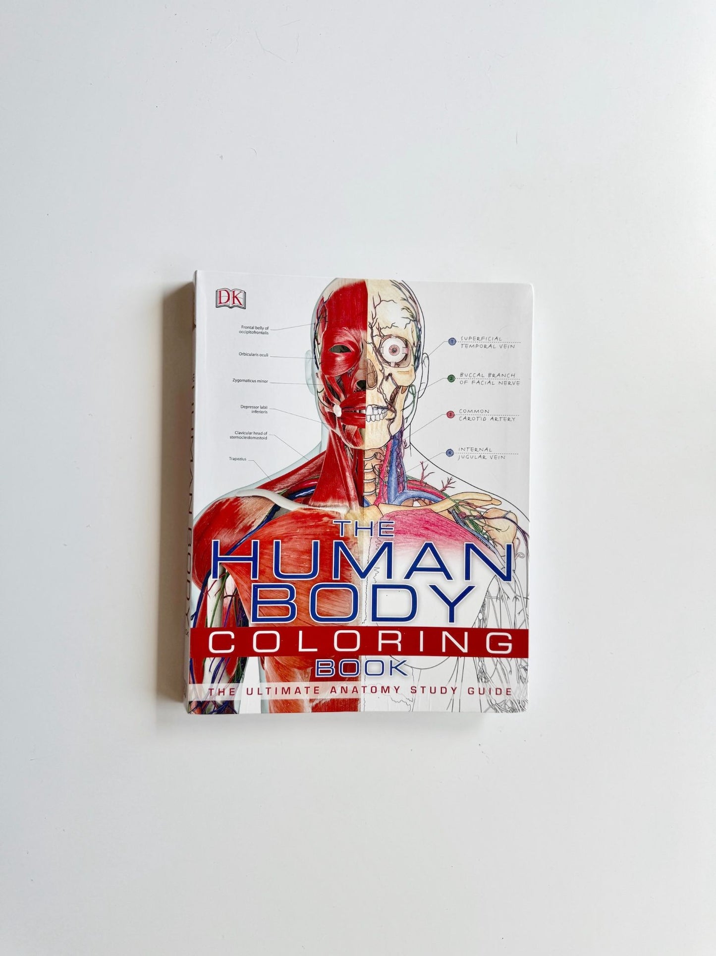 Softcover Book - The Human Body Coloring Book - 1