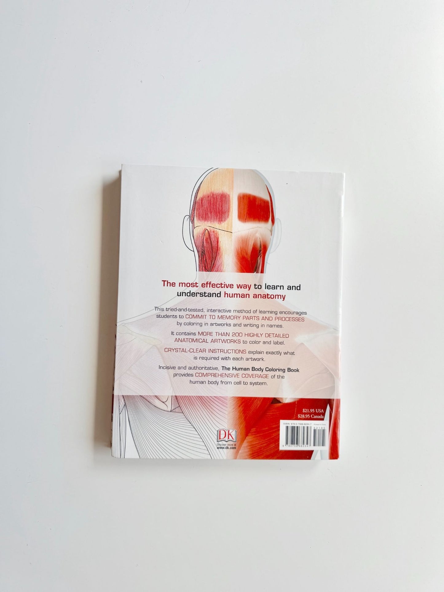 Softcover Book - The Human Body Coloring Book - 2
