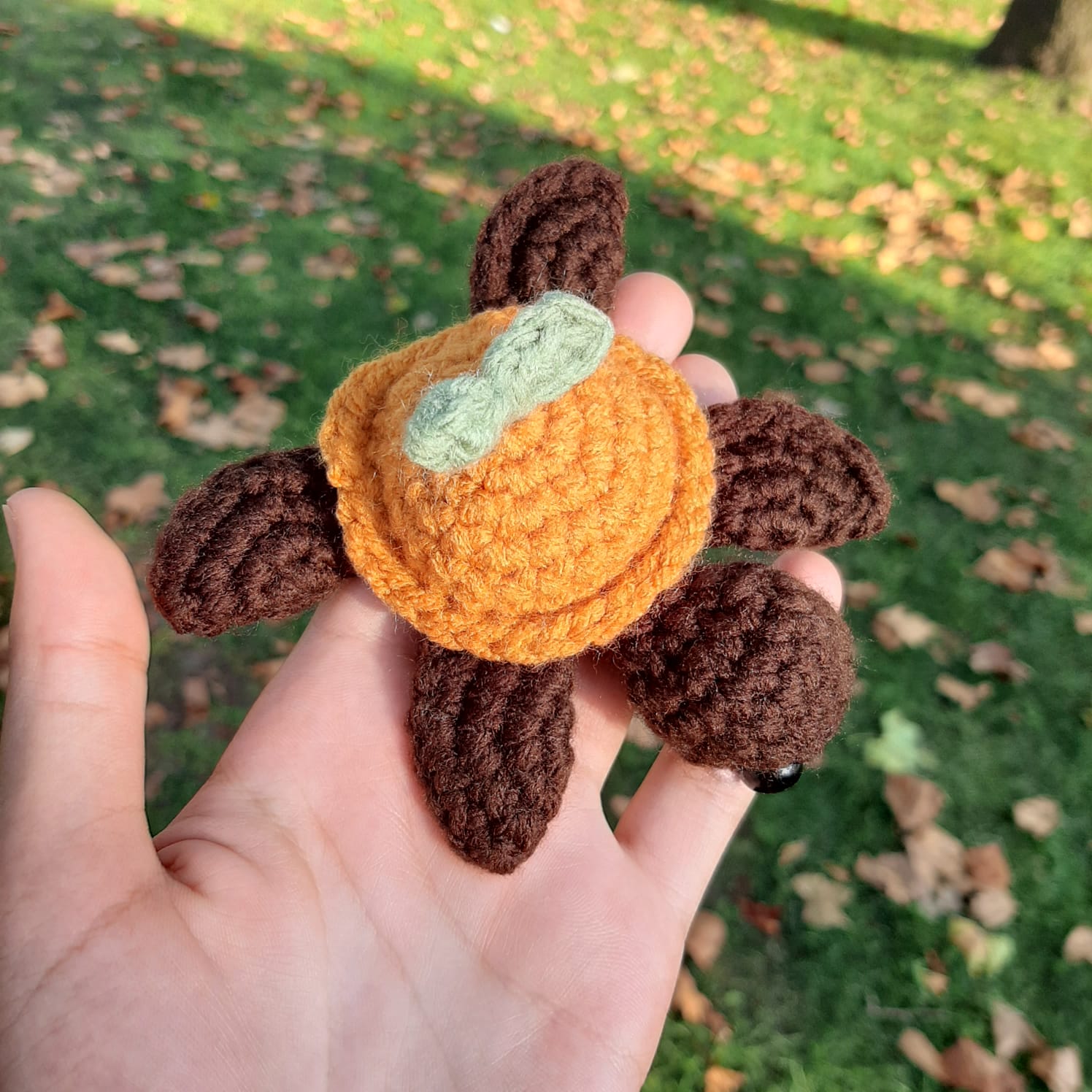 Pumpkin Turtle - 2