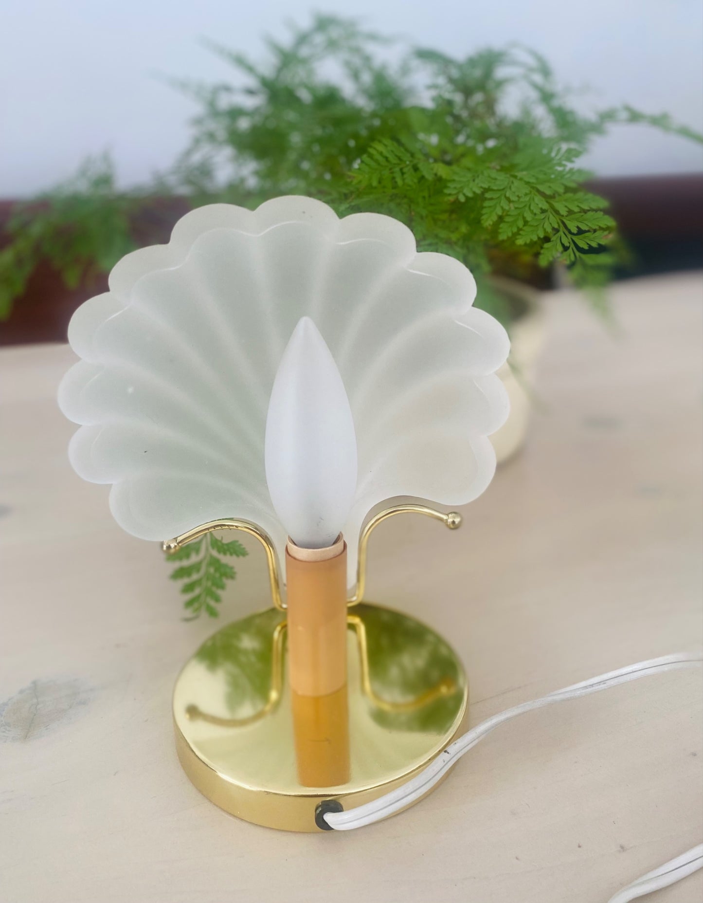 Frosted Shell Lamp - 1