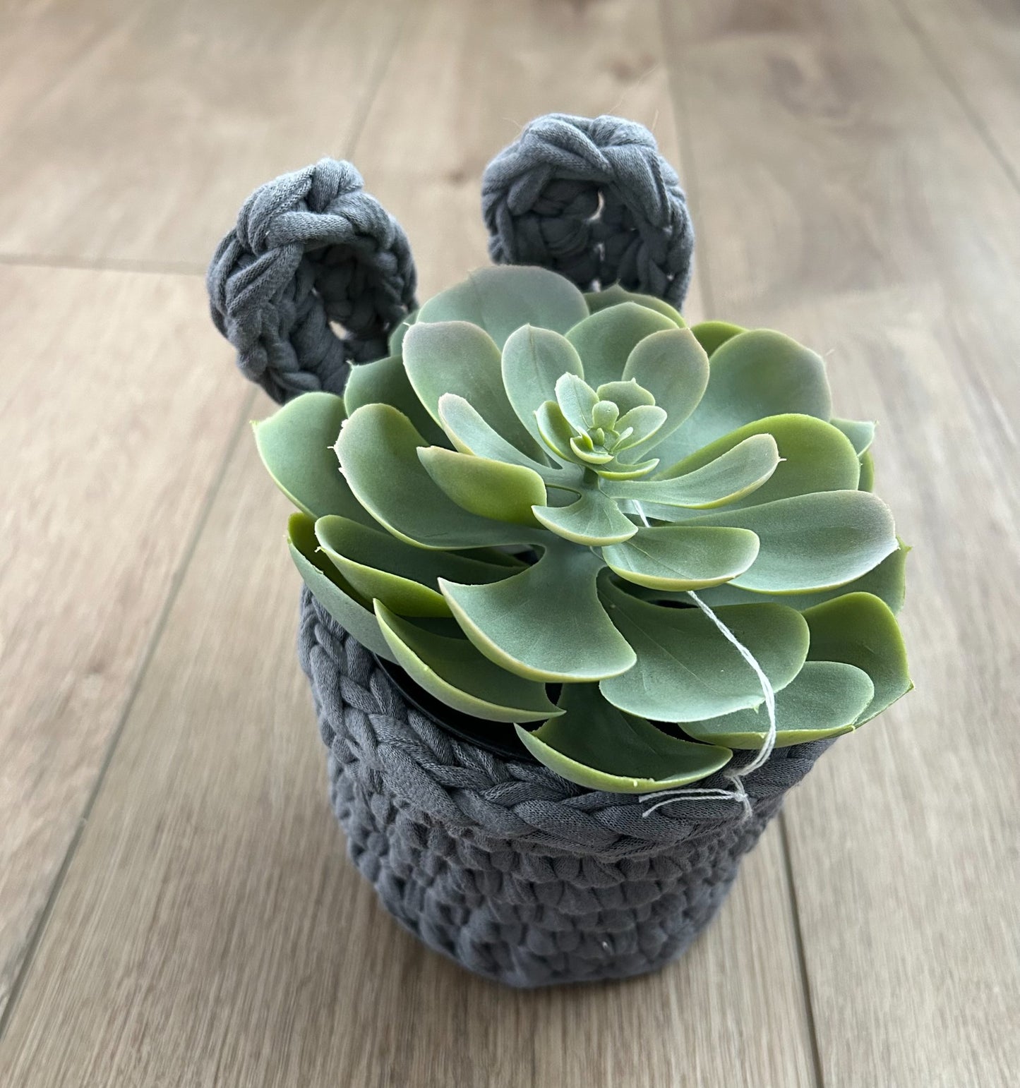 Bunny Pot - 1