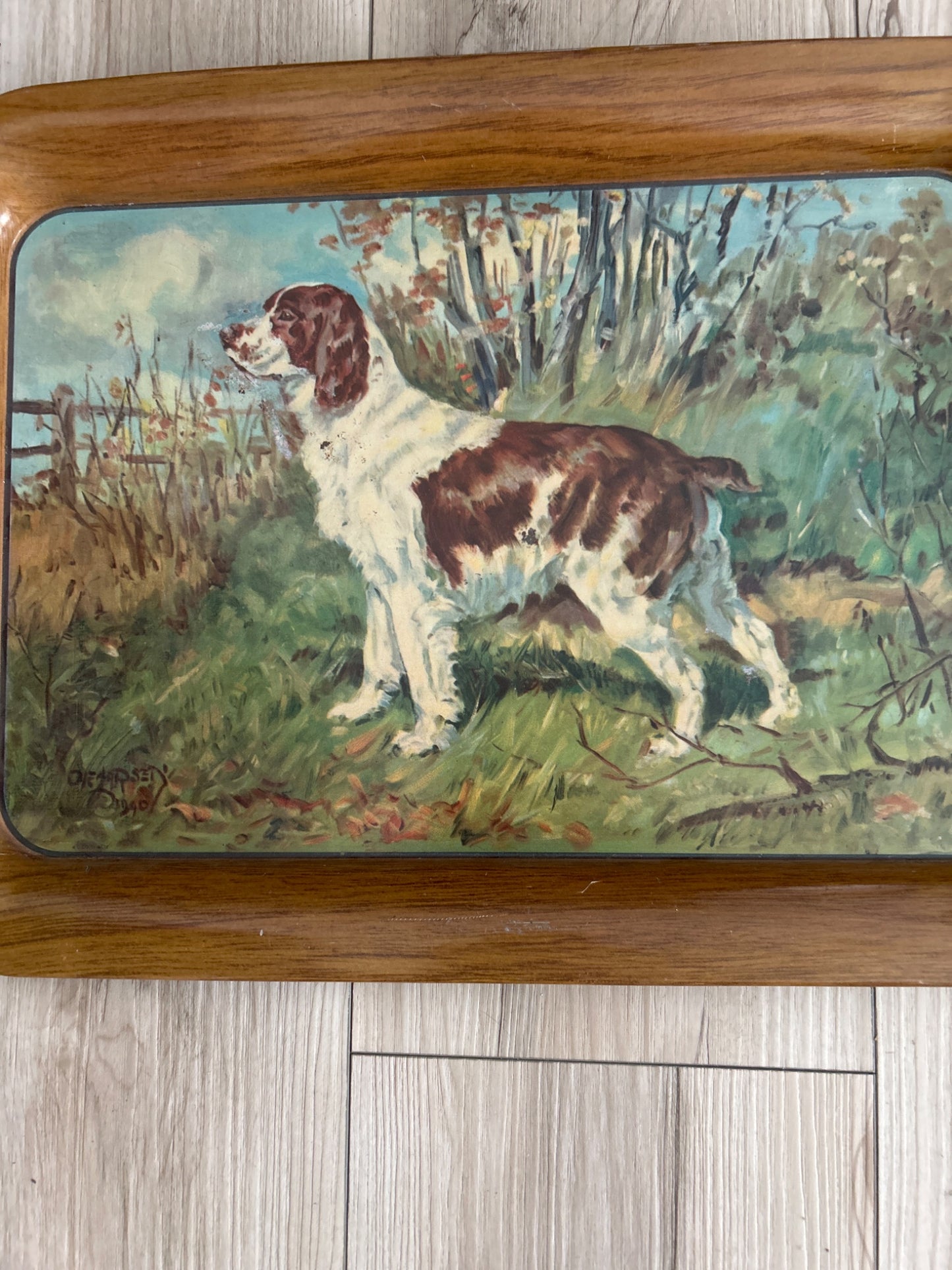 Springer Spaniel Tin Tray - 1