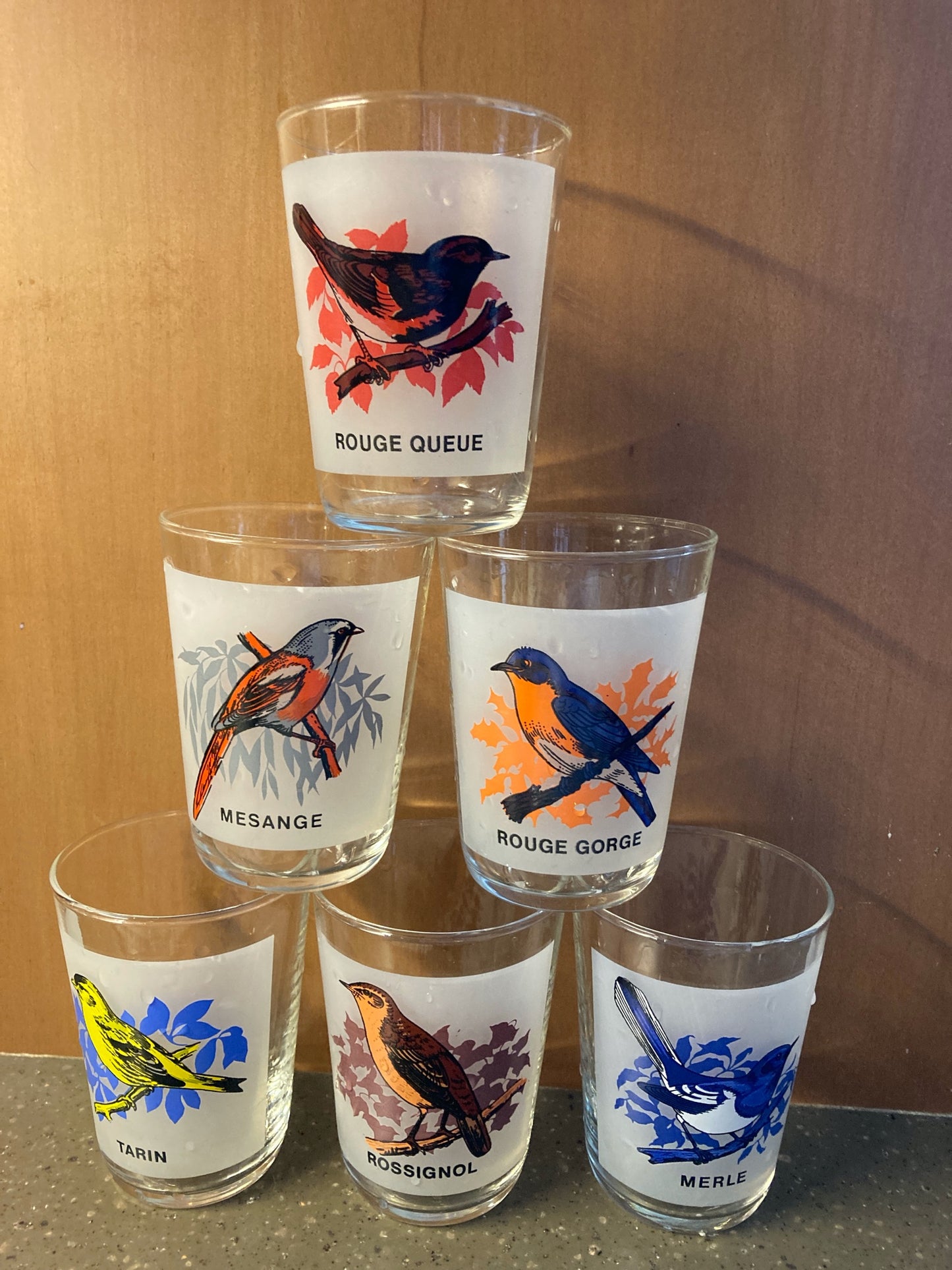 Made in France Bird Glasses - 1