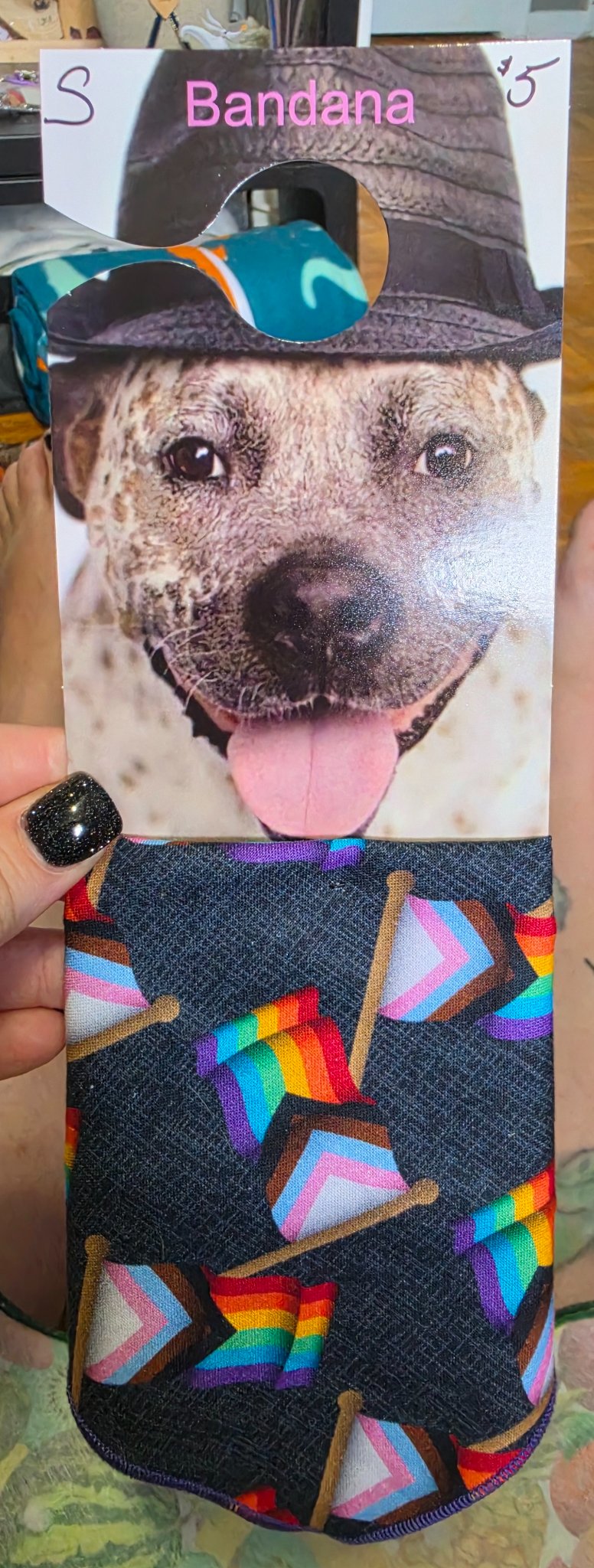 665f5e7d04f32b049949ecdf_bandana-pride-flags_1781205270774.jpg