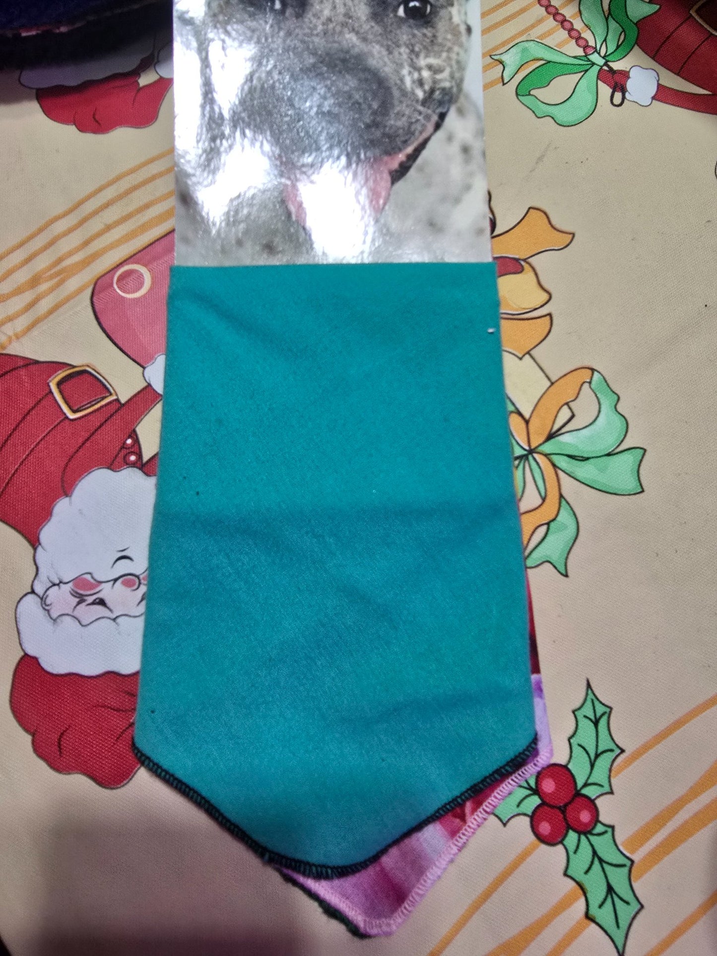 665f5e7d04f32b049949ecdf_bandana-teal_1772743562856.jpg