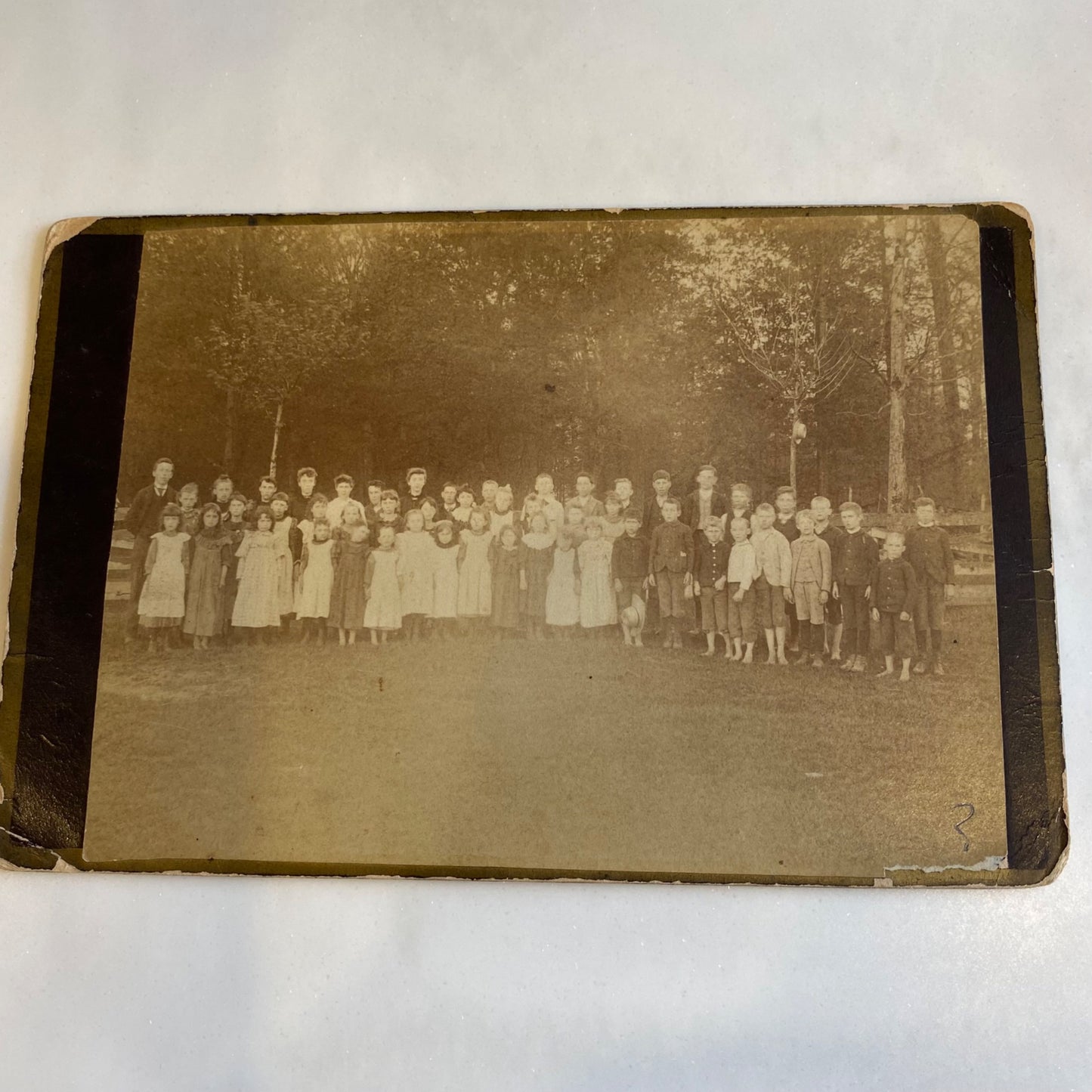 Cabinet Card
