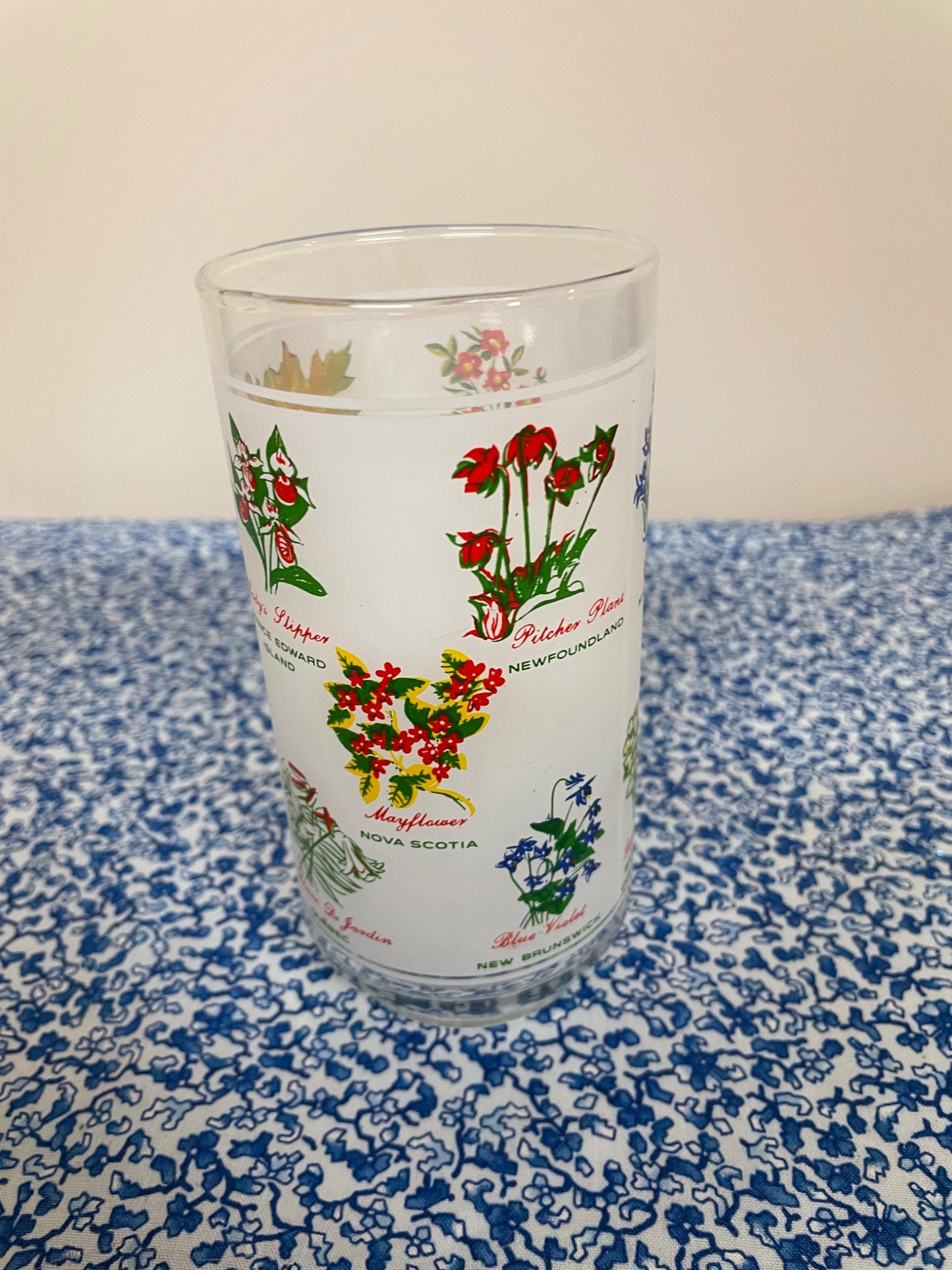 canada's provincial flowers glass