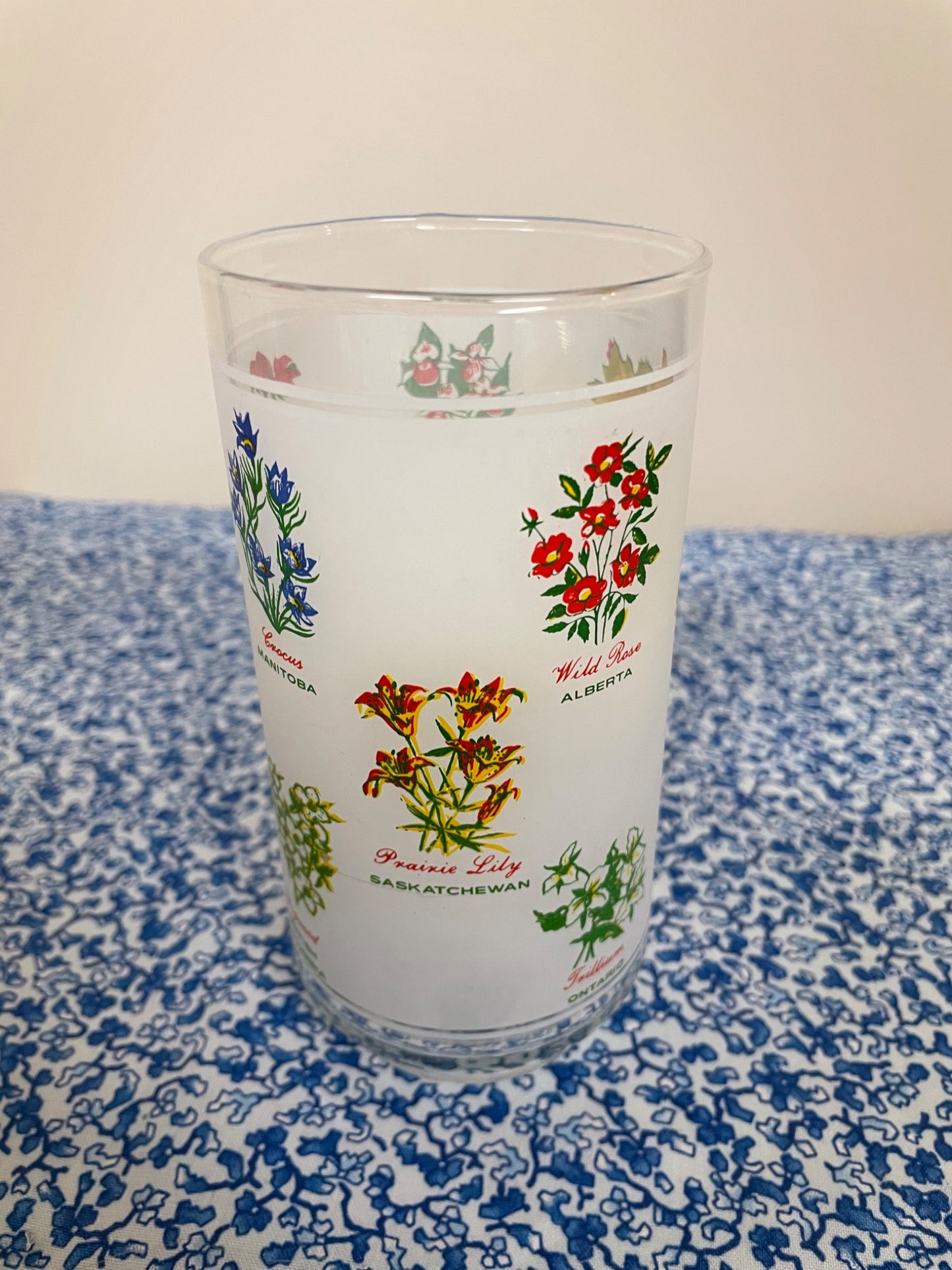 canada's provincial flowers glass