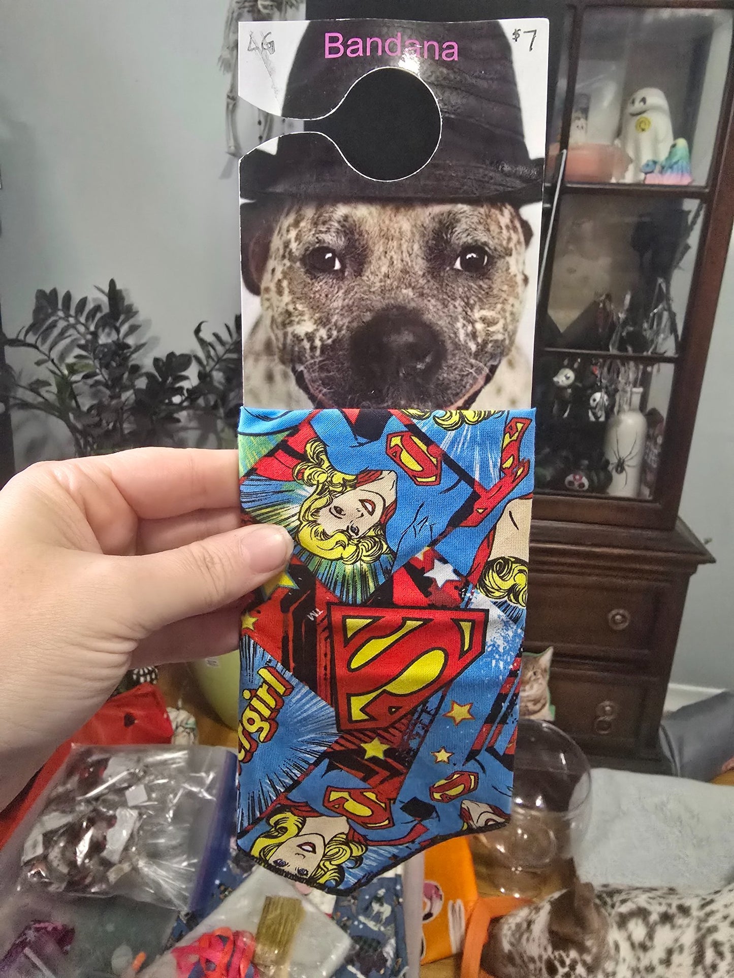 665f5e7d04f32b049949ecdf_lg-bandana-supergirl_1767988245136.jpg