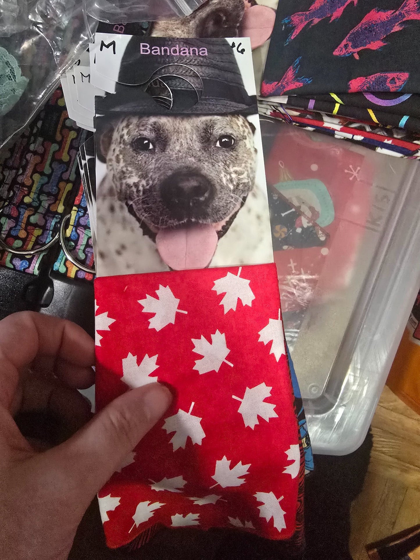 665f5e7d04f32b049949ecdf_md-bandana-canada_1767988893848.jpg