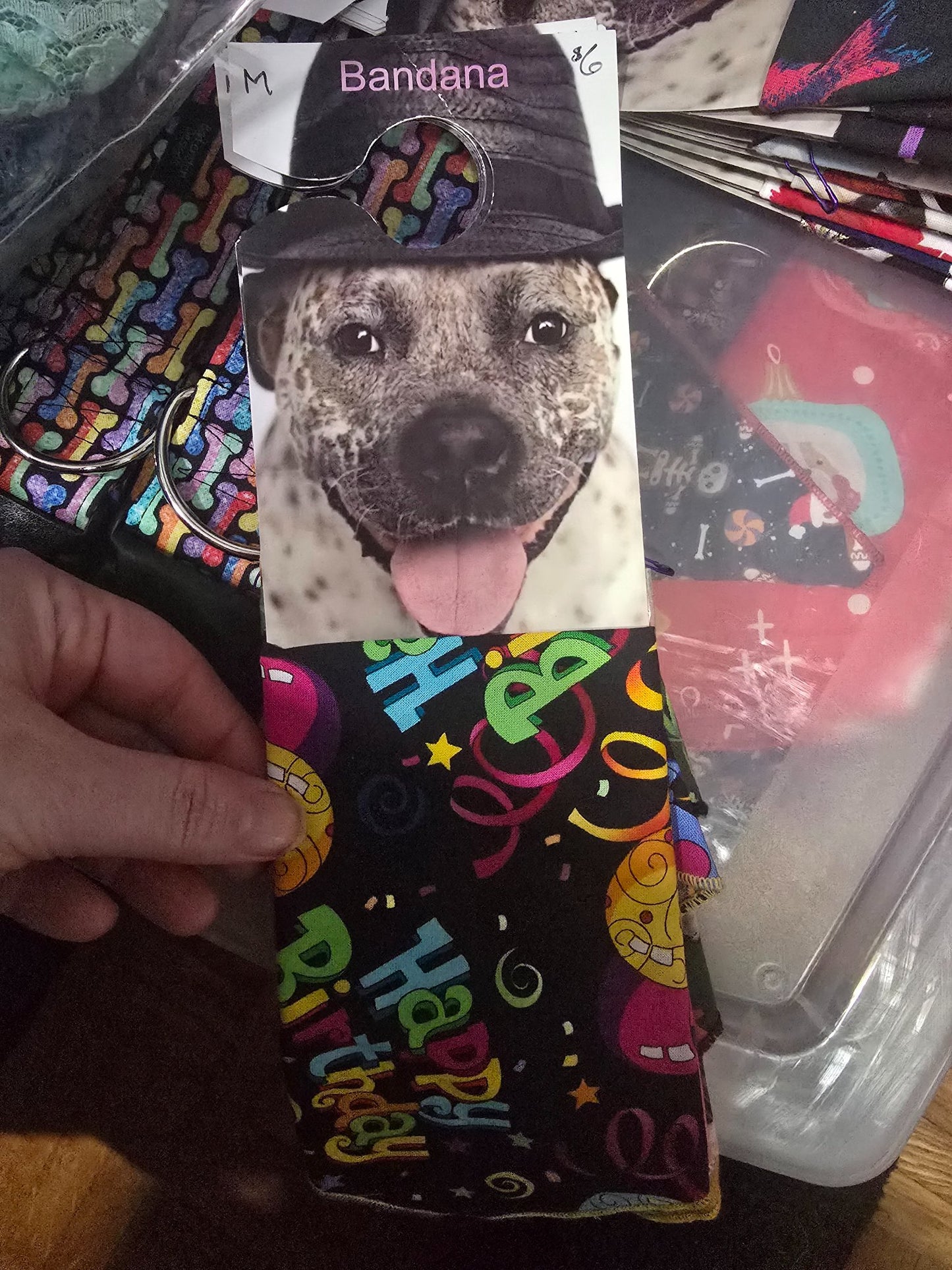 665f5e7d04f32b049949ecdf_md-bandana-happy-birthday_1767989112299.jpg