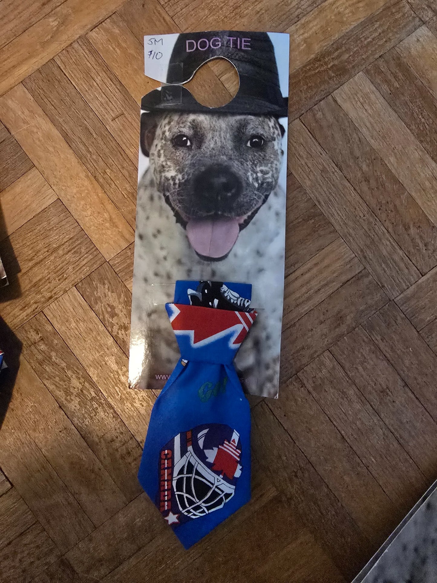 665f5e7d04f32b049949ecdf_sm-tie-hockey_1762280442026.jpg