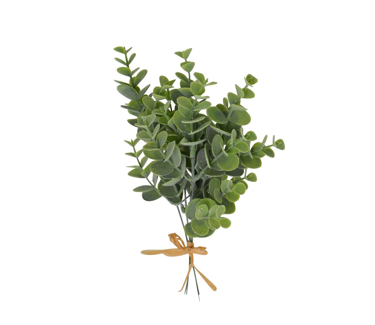 Bouquet of Eucalyptus