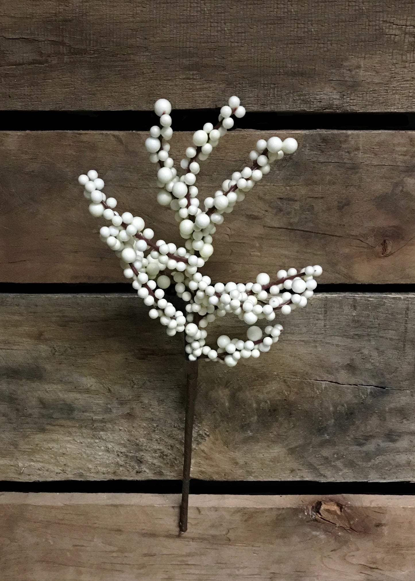 White Outdoor Berry Pick
