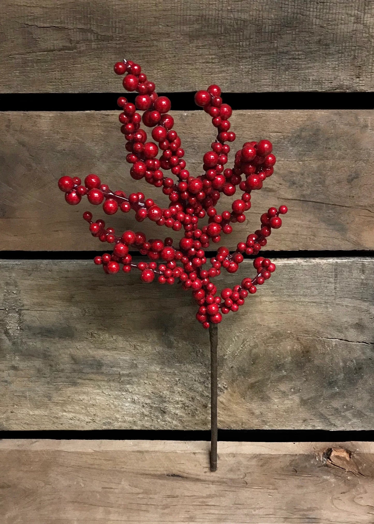 Red Outdoor Berry