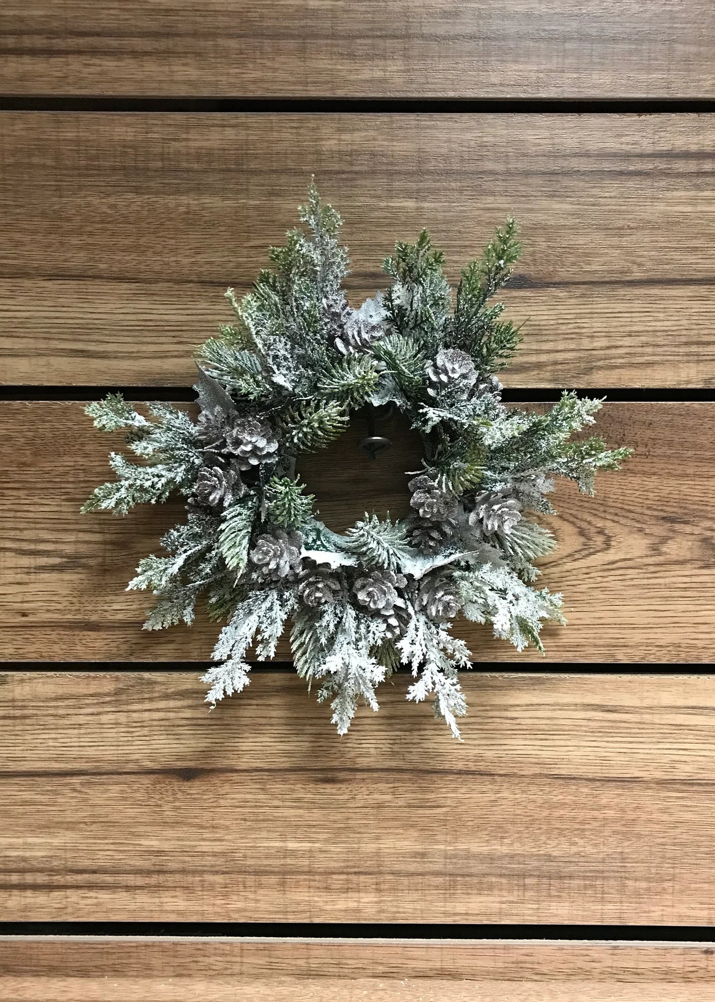 Snowy Pine Cone
