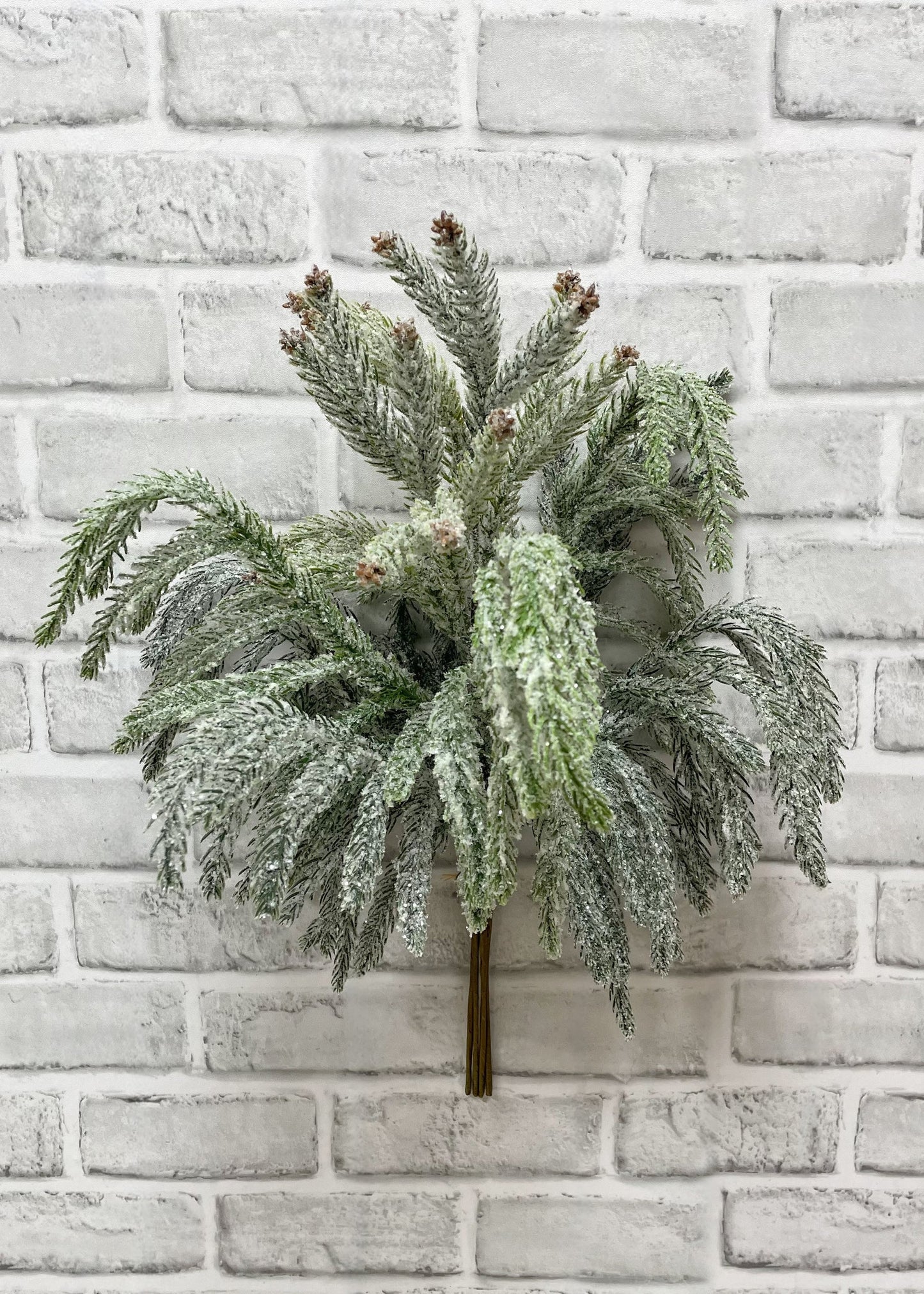 Snowy Norfolk Pine Bundle 20"