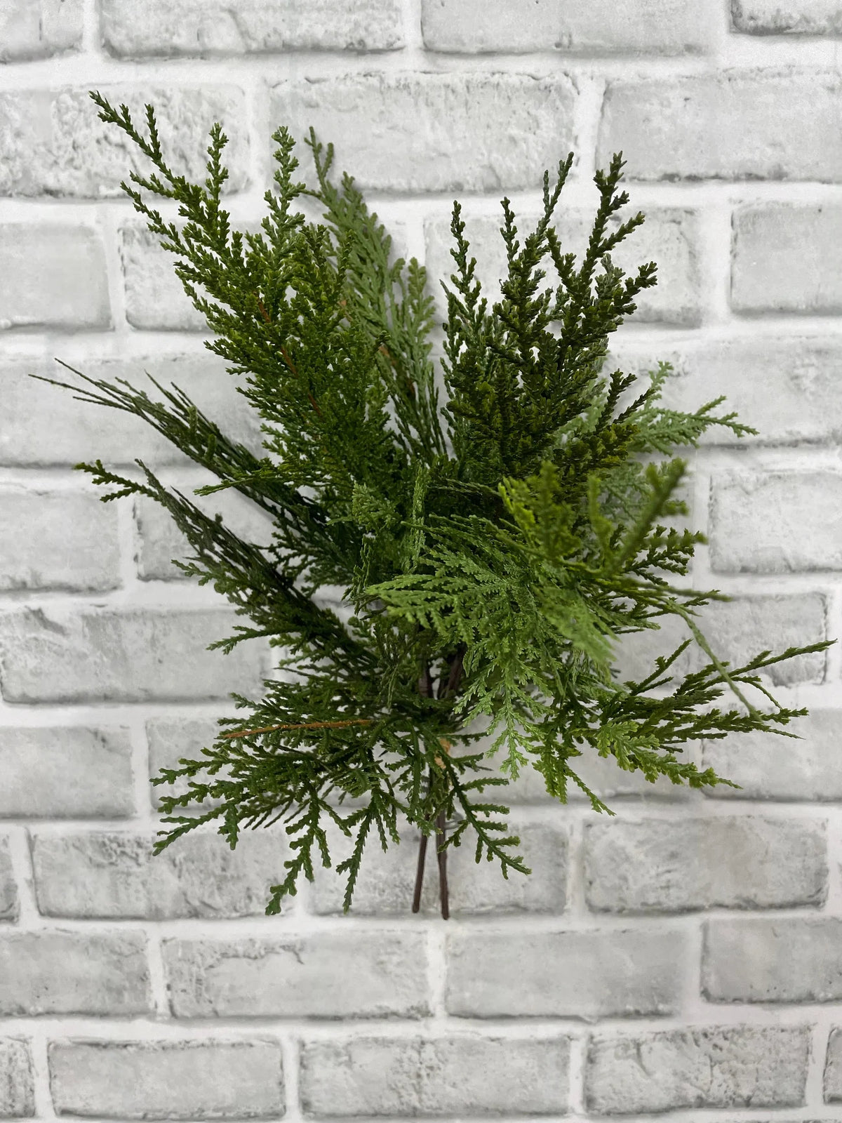 16" Northern White Cedar Bundle