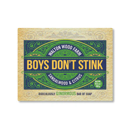 Boy's Don't Stink Soap 6.35oz