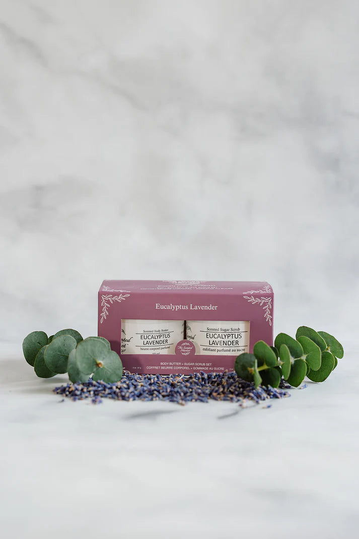 Body Butter and Sugar Scrub - Eucalyptus