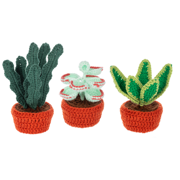 Crochet Succulent Plant Figurine