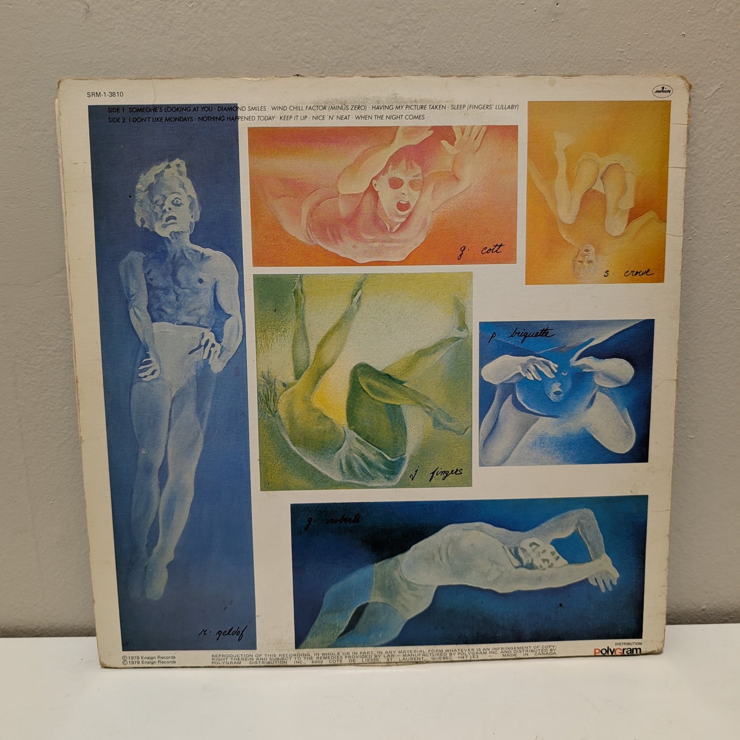 The Boomtown Rats The Fine Art of Surfacing LP