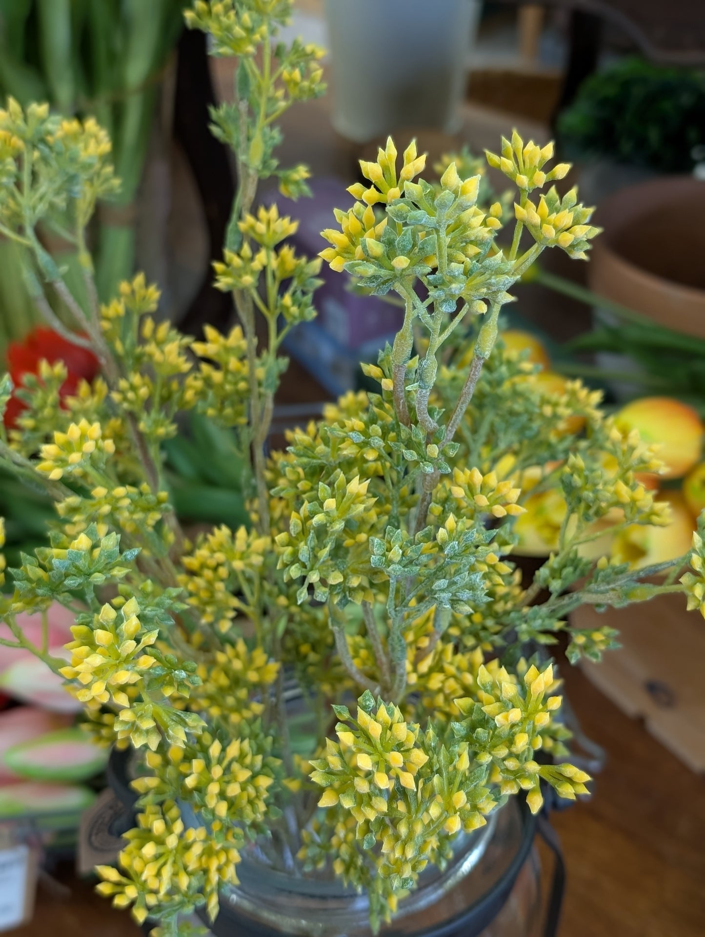 Seeded Eucalyptus Bush