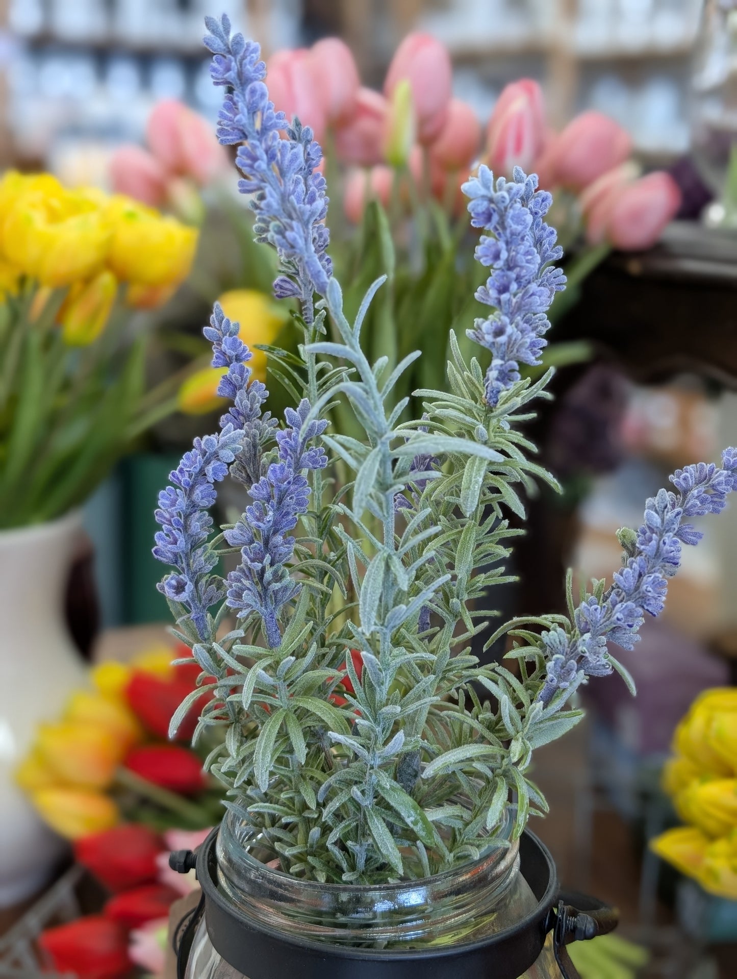 lavender Bundle