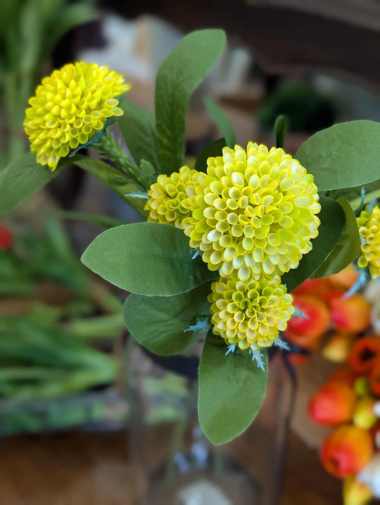 Honey Comb Bundle