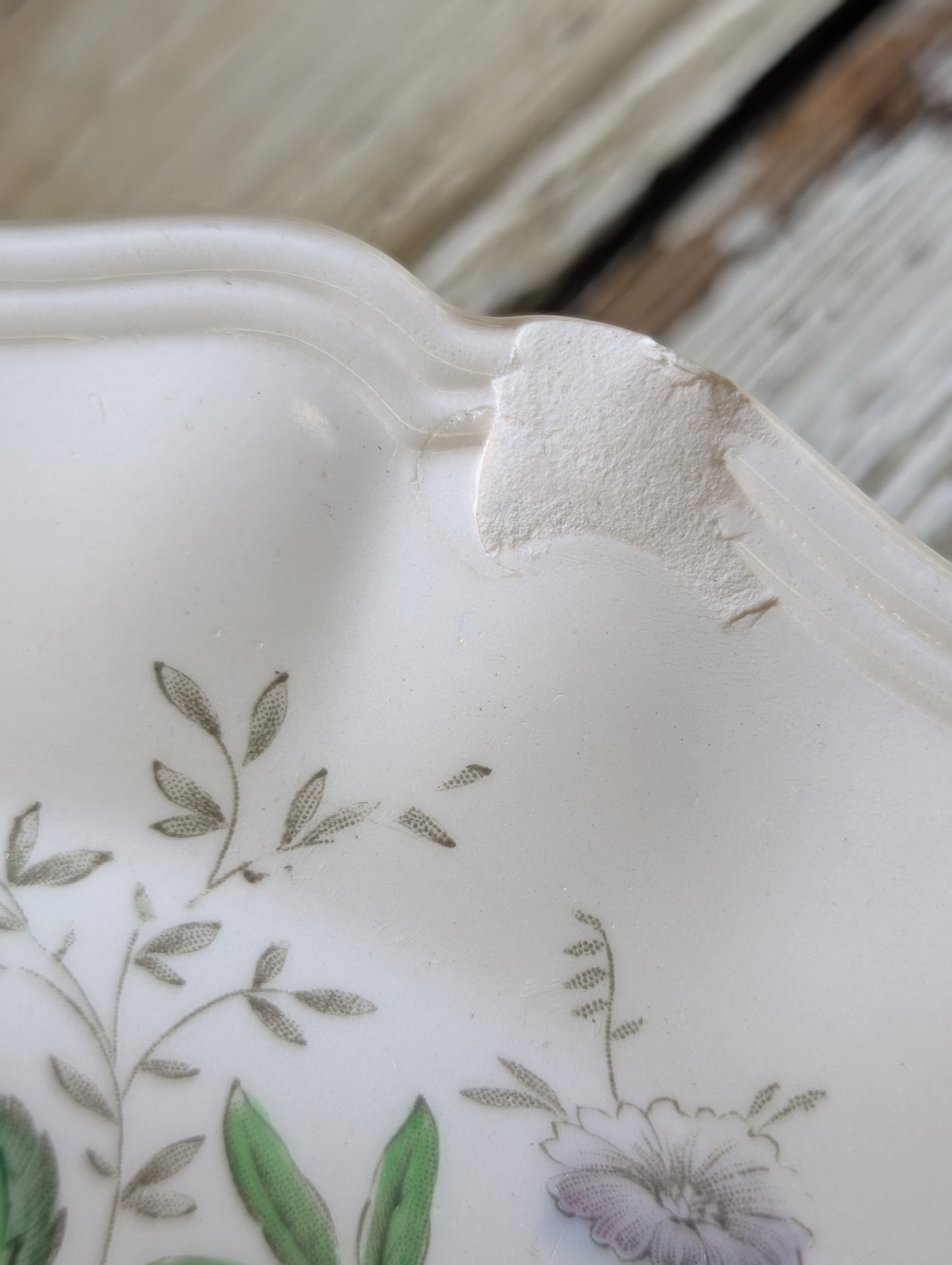 set of 6 plates - Malvern