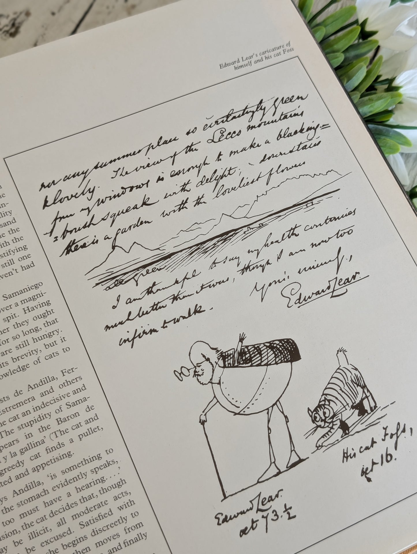The Life, History and Magic of Cats