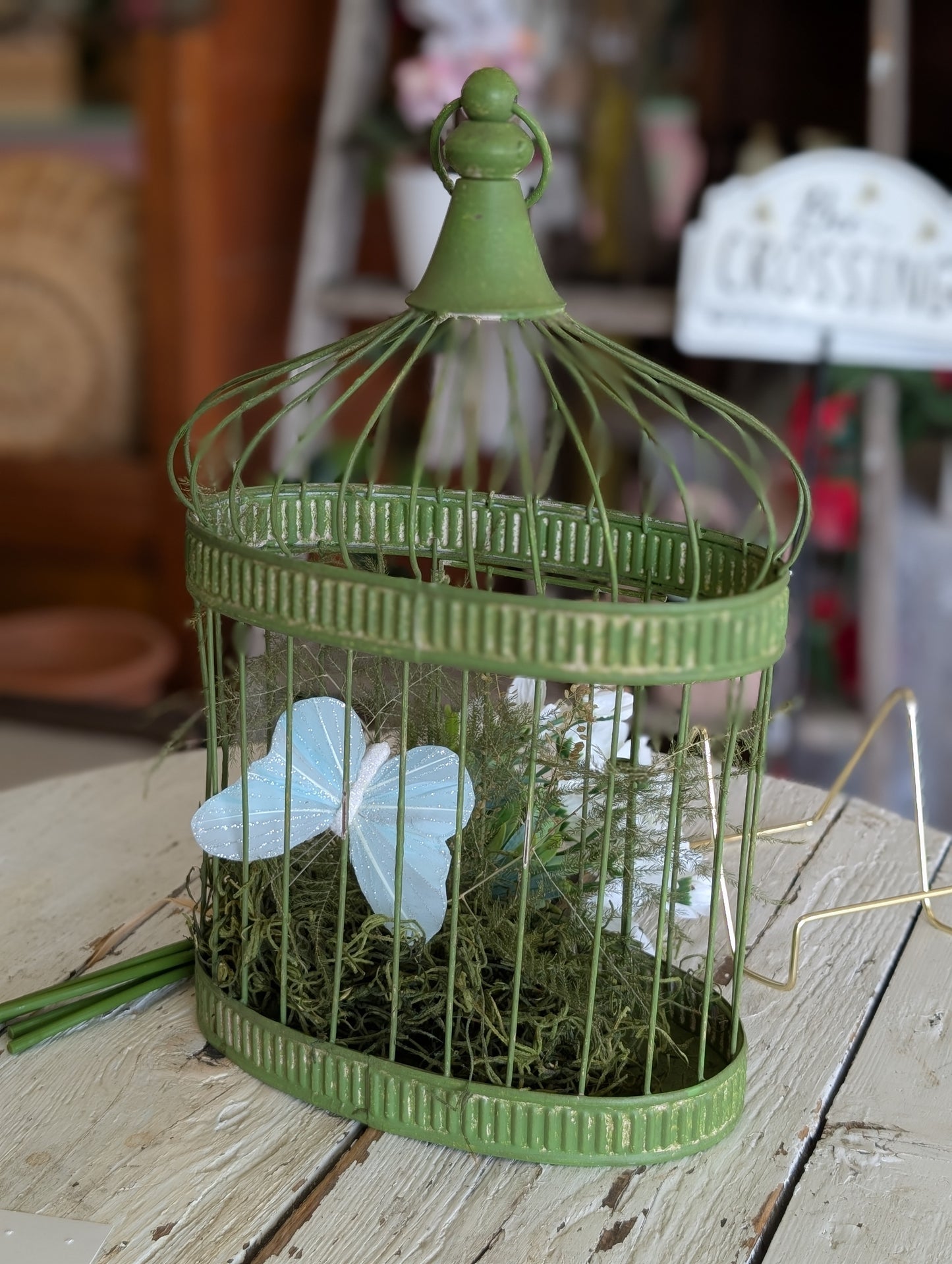 Green Bird Cage