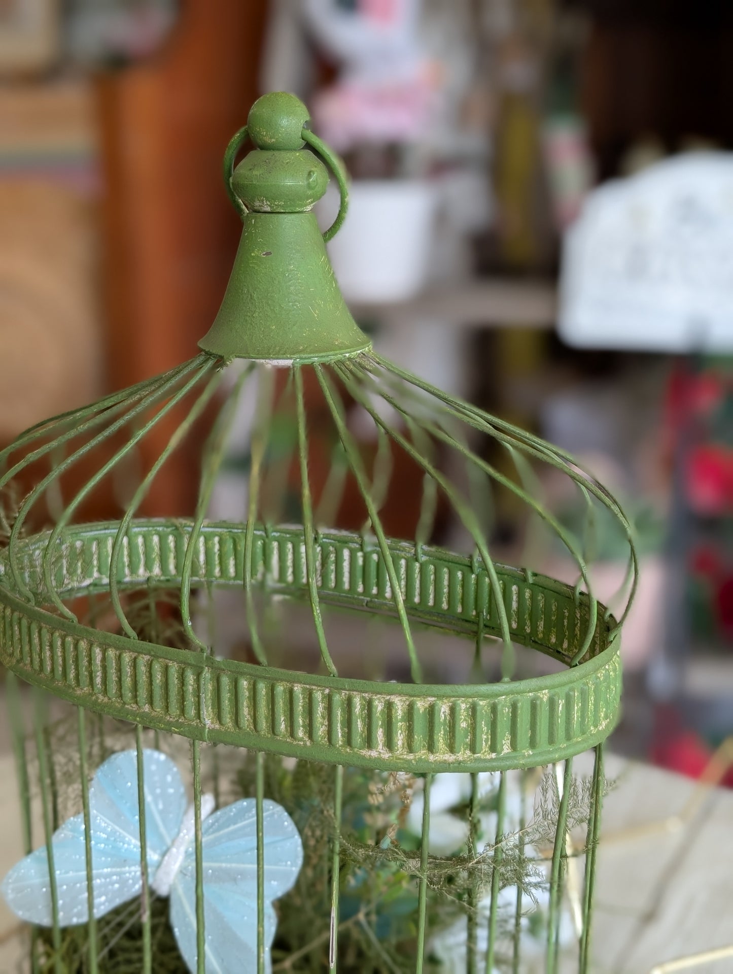 Green Bird Cage