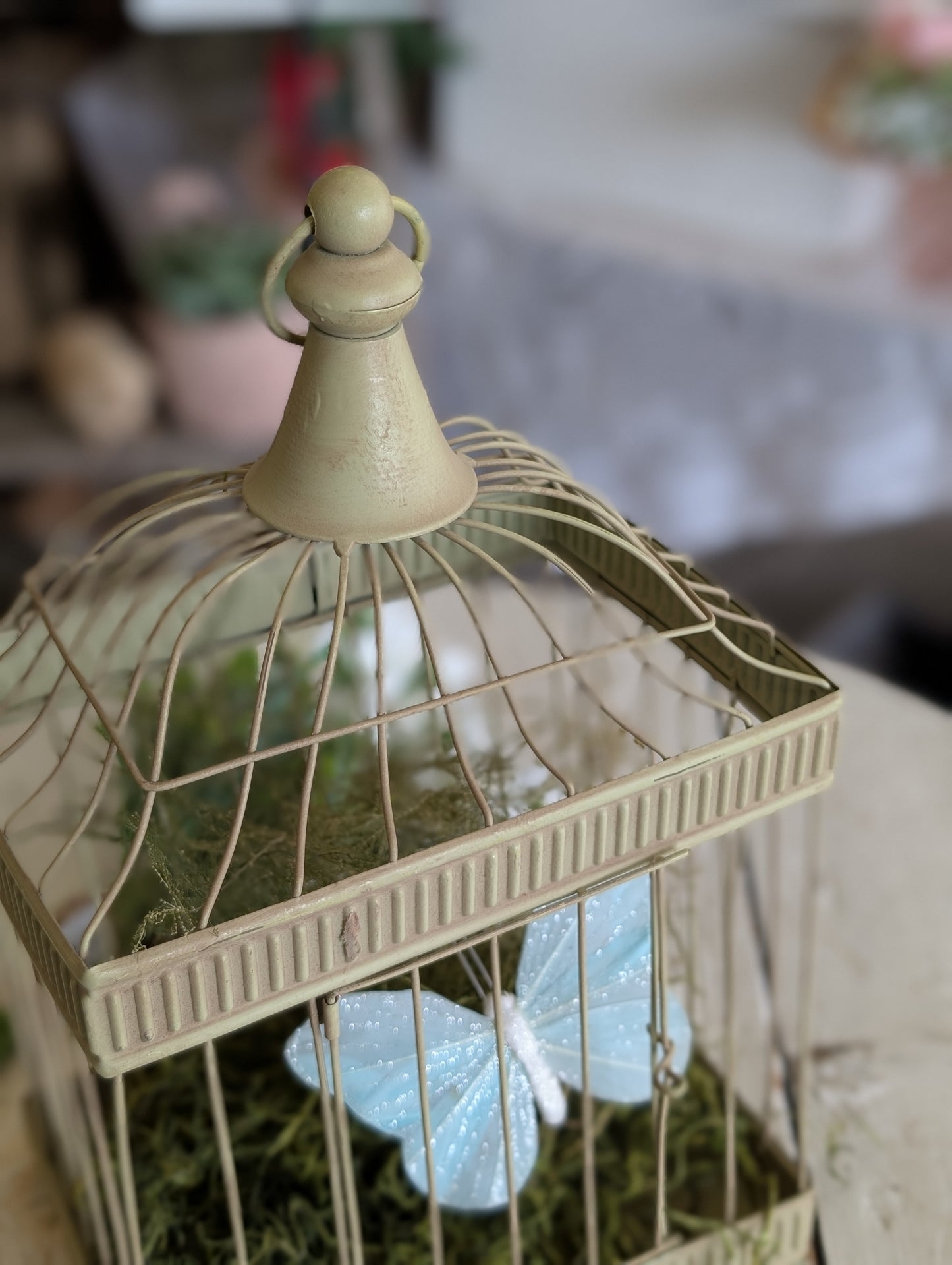 tan Bird Cage