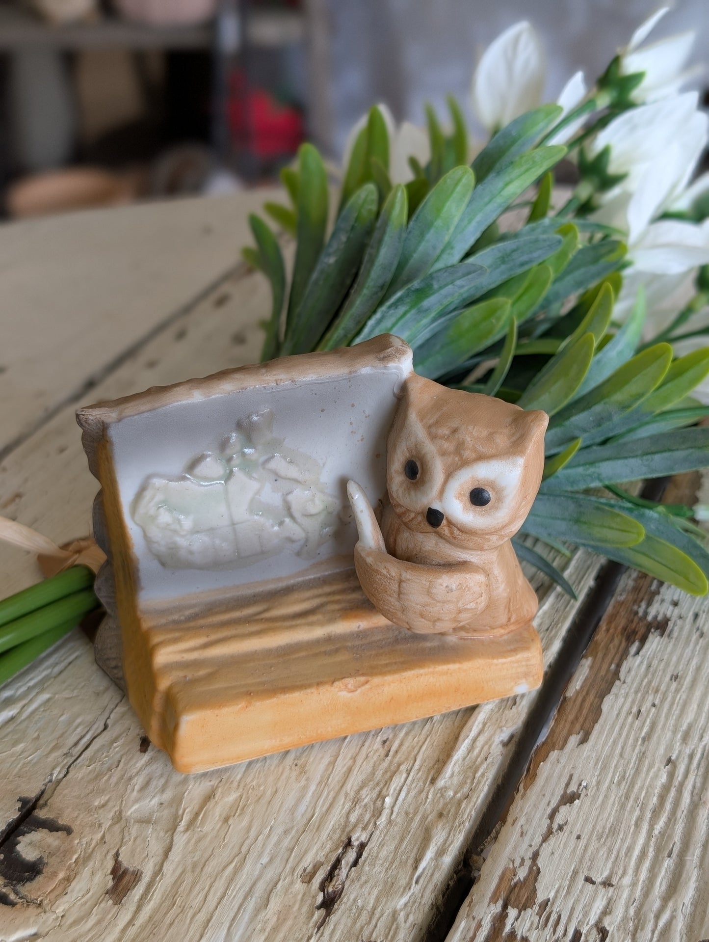 Owl Teacher