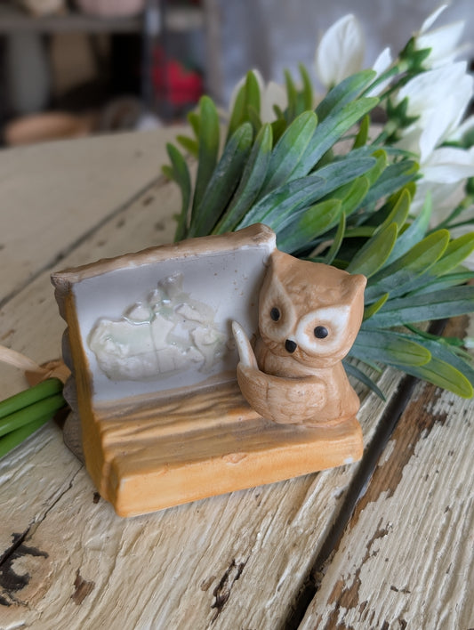 Owl Teacher